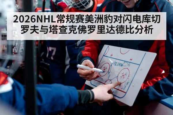 ice hockey players checking along boards